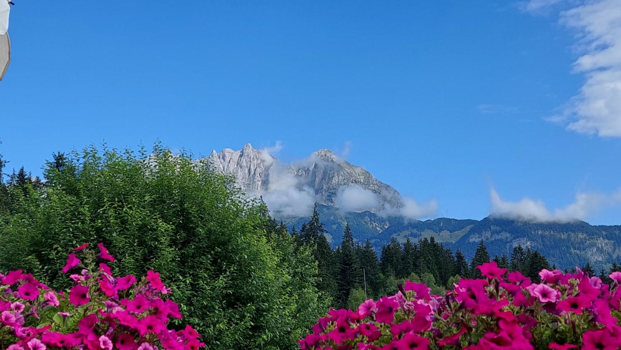 Gartenhotel Rosenhof Bei Kitzbuehel Oberndorf in Tirol Exterior photo
